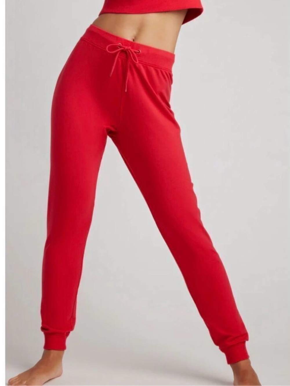 Negative Underwear Club Sweat-Sweatpants/Joggers/Athletic ,Cherry Red Small